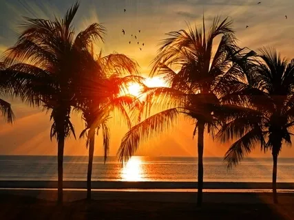 Golden Ocean Powerful Guided Healing Meditation 