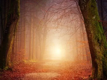 Golden Pillar Of Light 