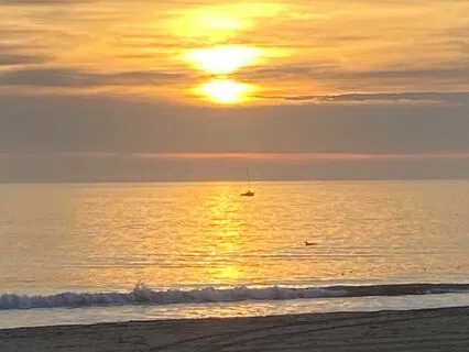 Golden Ray Meditation #4 - Allowing Divine Trust