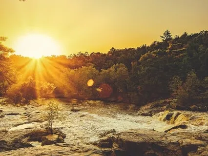 Golden River 432Hz Root Crystal Bowl 