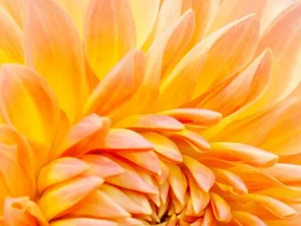 Golden Silence — Gentle Guitar For Deep Relaxation