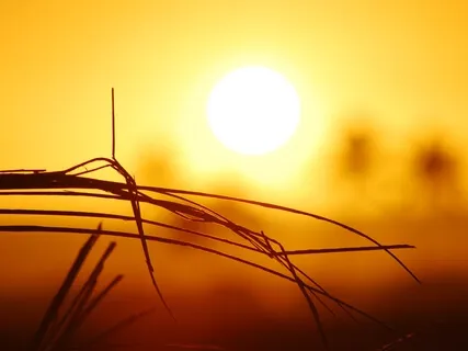 Golden Sun Meditation For Relaxation