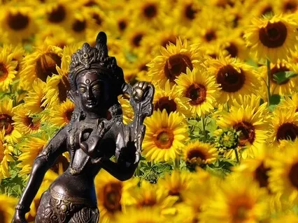 Golden Tara Heart Activation Code