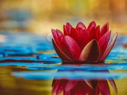 Golden Thread Back To Center