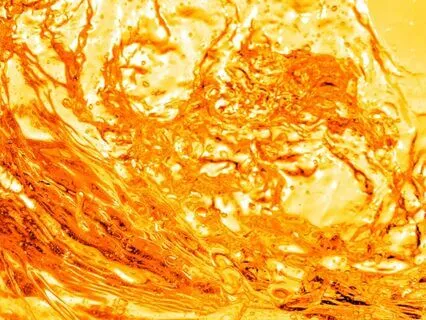 Goldfish Wisdom: Flowing With Abundance & Joy