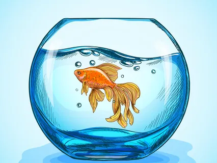 Goldie The Grateful Goldfish - Children's Meditation Story