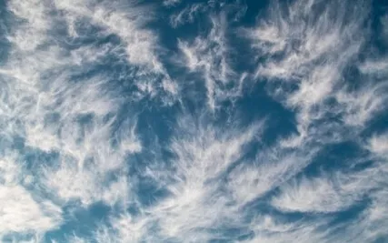 Gone With The Wind | Atmospheric Relaxation Therapy