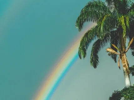 Gong Healing Vibrations