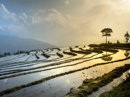 Gong Relaxation Sounds For Energy And Calm