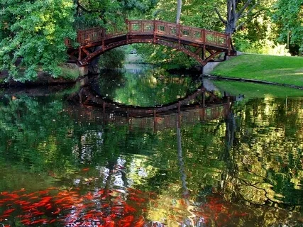 Gong Voyage - Embracing Your Heart