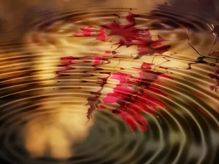 Gong Voyage - Grounding Protecting Releasing