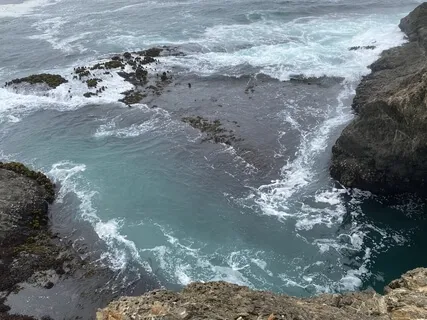 Gong Yoga Nidra - Grateful Heart