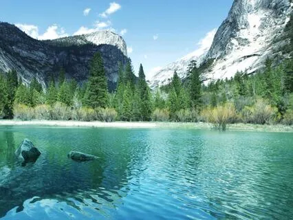 Good Actions To Build Merit