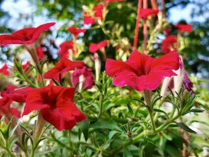 Good-Bye Bucket Lists & Don't Seize The Day!