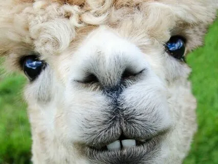 Good Day (Affirmation Acapella) β Uplifting Your Spirit