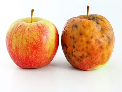 Good Growth, Bad Growth