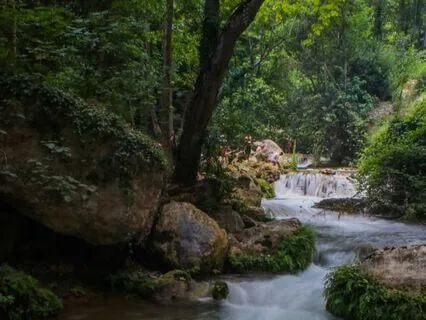 Good Health Playlist