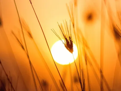 Good Morning - A Guided Sound Meditation 