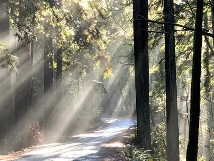 Good Morning Affirmations