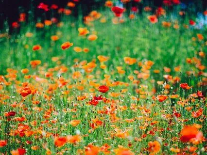 Good Morning Affirmations For An Abundant Day