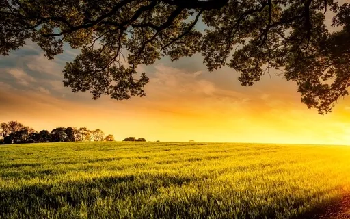 Good Morning, Beautiful Soul!