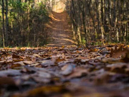 Good Morning Bradspiration