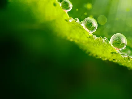 Good Morning Breath - Suspend & Release