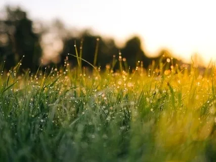 Good Morning Confidence