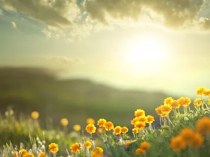 Good Morning Daily Meditation