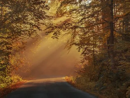 Good Morning, Descendants & Ancestors