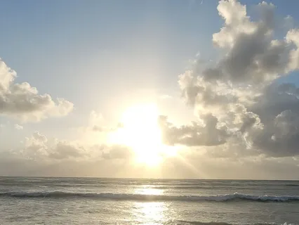 Good Morning Fresh New Day