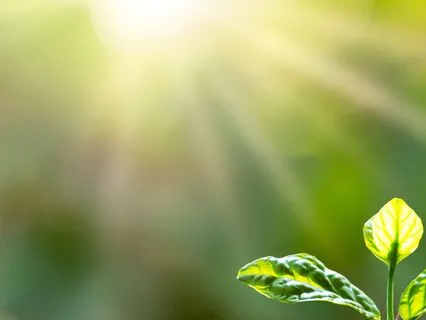 Good Morning, Gemini Rising.