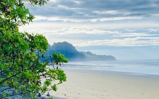 Good Morning Gratitude