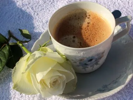 Good Morning Gratitude Meditation!