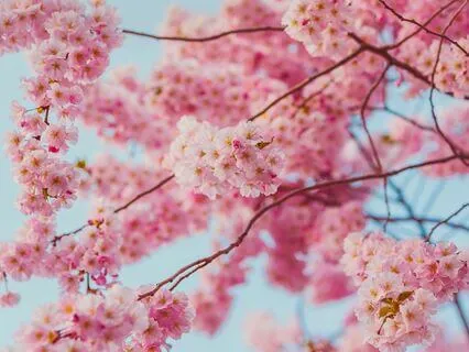 Good Morning Meditation