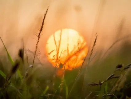 Good Morning ~ Let Your Heart Guide Your Day