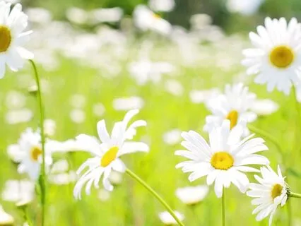 Good Morning, Libra Rising,