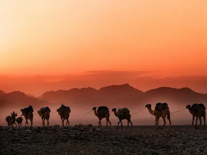Good Morning, Marrakesh