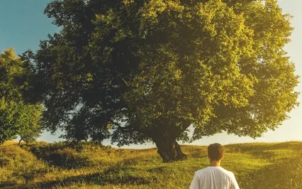 Good Morning Meditation