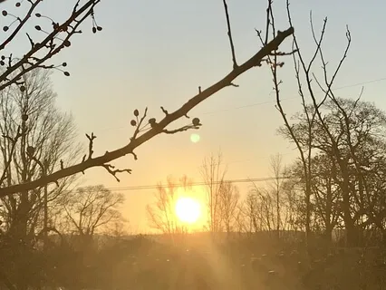 Good Morning Meditation