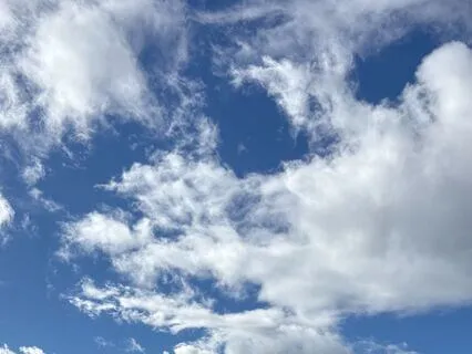 Good Morning Meditation & Movement