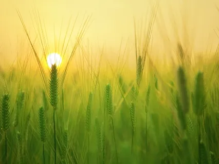 Good Morning Meditation Ritual For Positive Energy