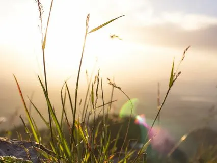 Good Morning Meditation