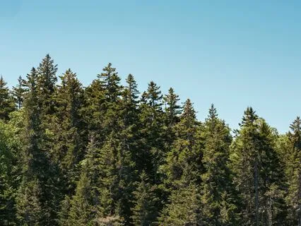 Good Morning Meditation