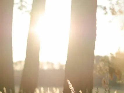 Good Morning Meditation