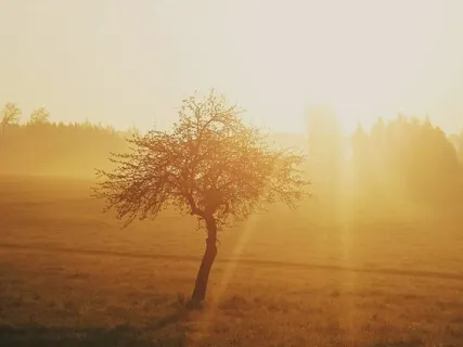 Good Morning Mindfulness! Number 1