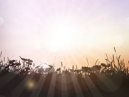 Good Morning Mother Nature