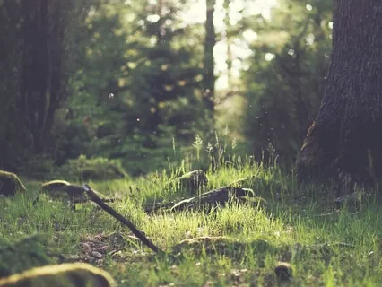 Good Morning Music | 528Hz Wake Up Music