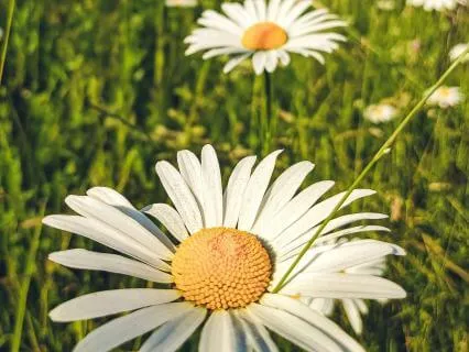 Good Morning Music | Boost Positive Energy