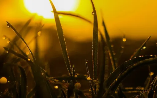 Good Morning New Day Affirmations